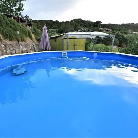 Il Pastore Tedesco *