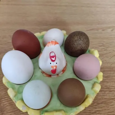 Appartement Il Pastore Tedesco