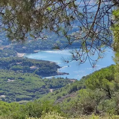Il Pastore Tedesco Lejlighed Portoferraio