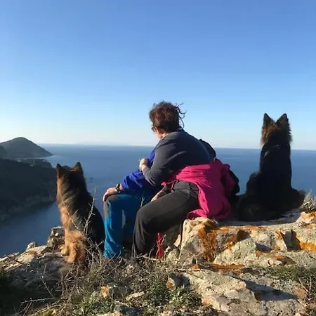 Appartement Il Pastore Tedesco Portoferraio
